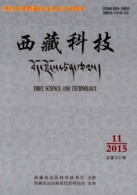 西藏科技